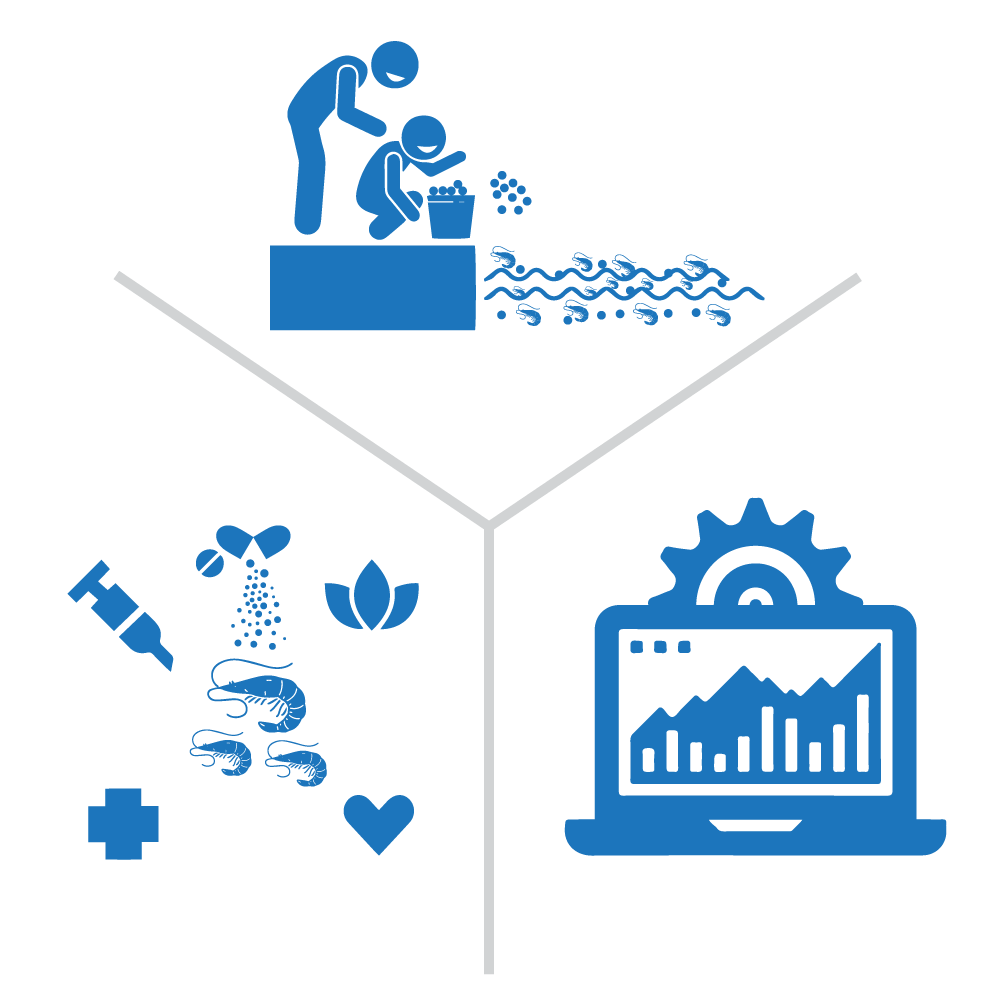 Description of the image