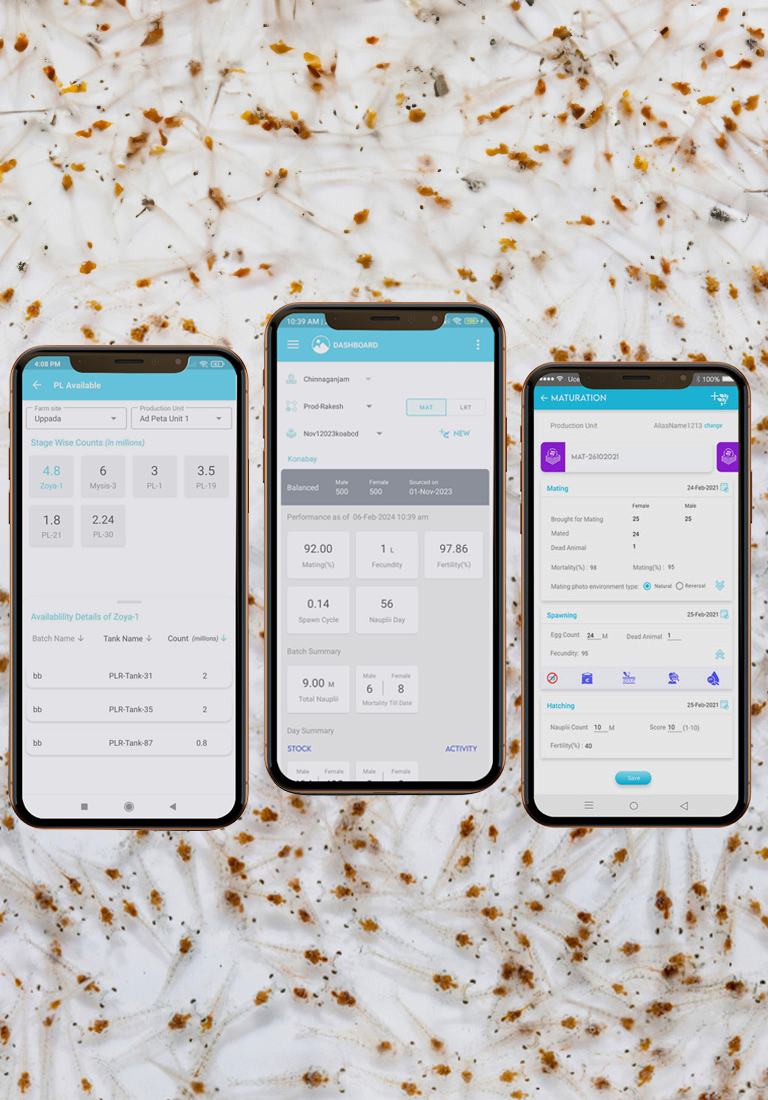 Description of the image