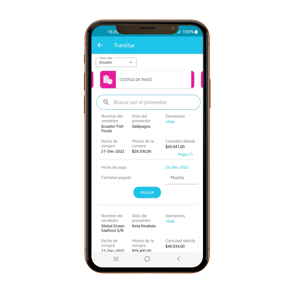 Description of the image