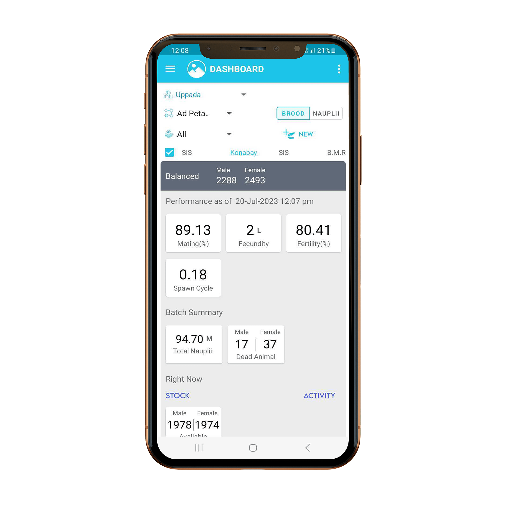 Description of the image