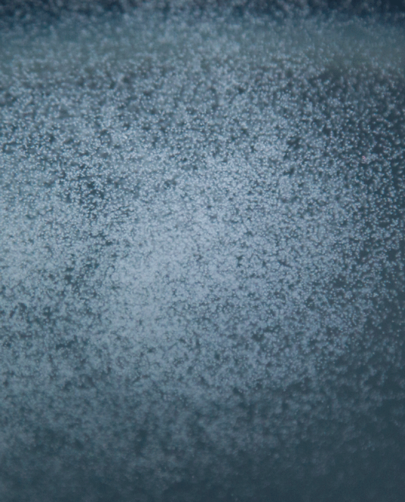 Description of the image