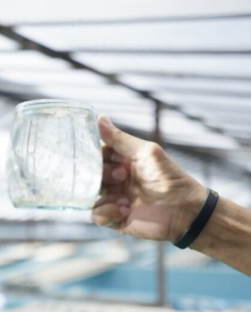 Description of the image