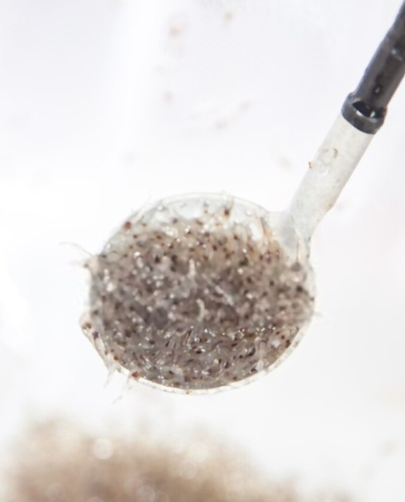 Description of the image