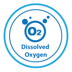 Description of the image