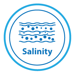 Description of the image